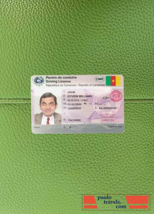 Cameroon DL photolook FRONT PSD template